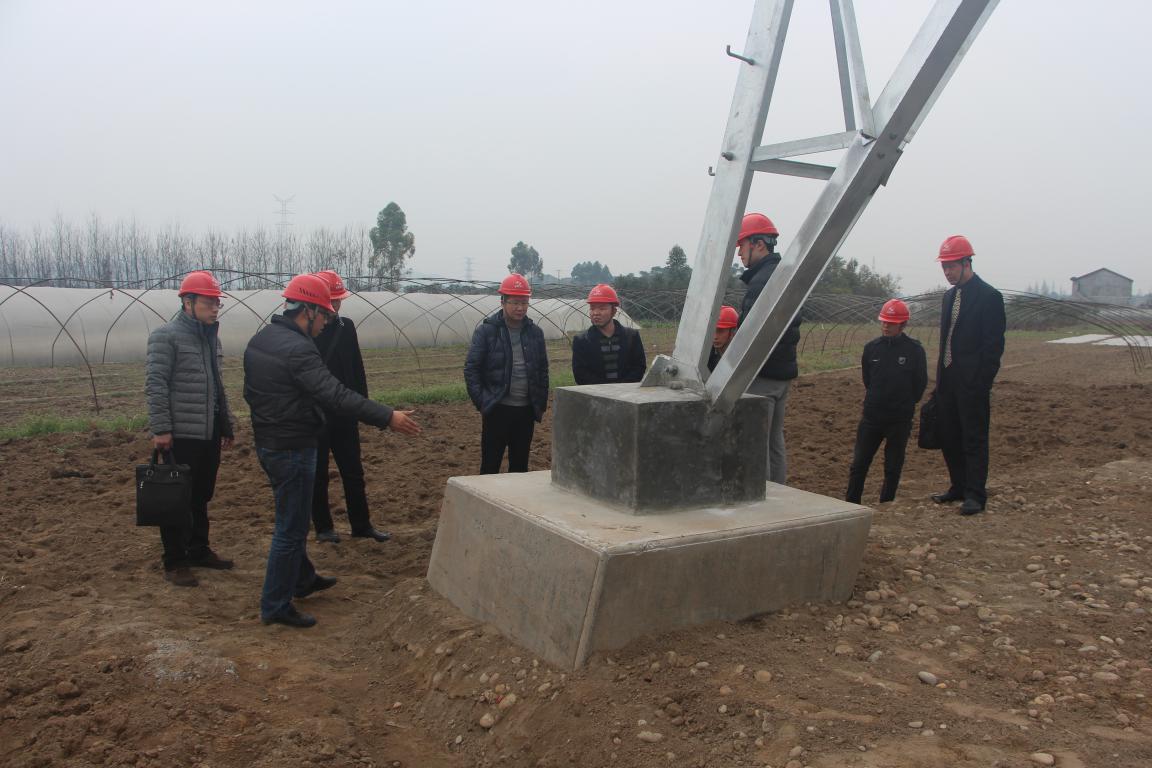 浙江送變電工程公司領(lǐng)導(dǎo)、專家蒞臨我 施工項(xiàng)目部參觀考察