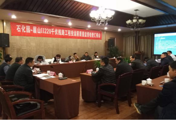 石化園～眉山Ⅱ220千伏線路工程通過投運(yùn)前的質(zhì)量監(jiān)督檢查