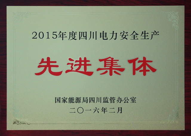 公司被評(píng)為2015年度四川電力安全生產(chǎn)先進(jìn)集體