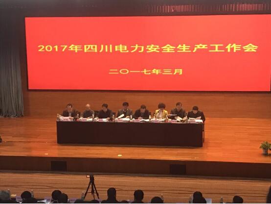 公司總經(jīng)理陳云榮獲2016年度四川電力安全生產(chǎn)先進個人