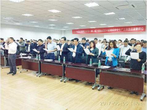公司副總經理兼總工顧大東參加落實安全生產主體責任宣誓活動