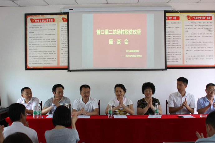 參與精準(zhǔn)扶貧 電力企業(yè)助推革命老區(qū)村道建設(shè)——集團(tuán)領(lǐng)導(dǎo)赴巴中市參與“駐村幫扶”項(xiàng)目調(diào)研