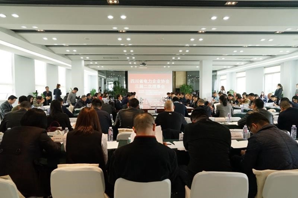 集團(tuán)總經(jīng)理陳云出席四川省電力企業(yè)協(xié)會三屆二次理事會