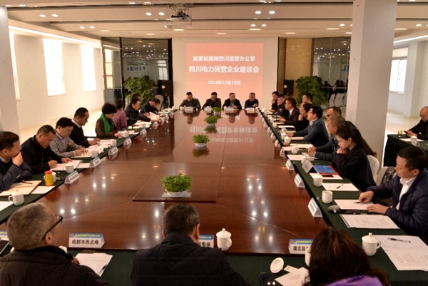 陳云總經(jīng)理參加四川能源監(jiān)管辦組織的四川電力民營企業(yè)代表座談會