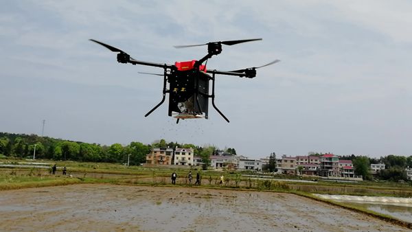 中機航飛無人機實現水稻直播