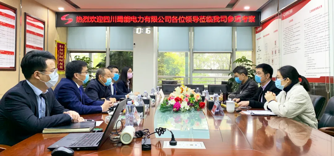 四川蜀能電力有限公司與成蜀電力集團(tuán)開展黨建工作研討會