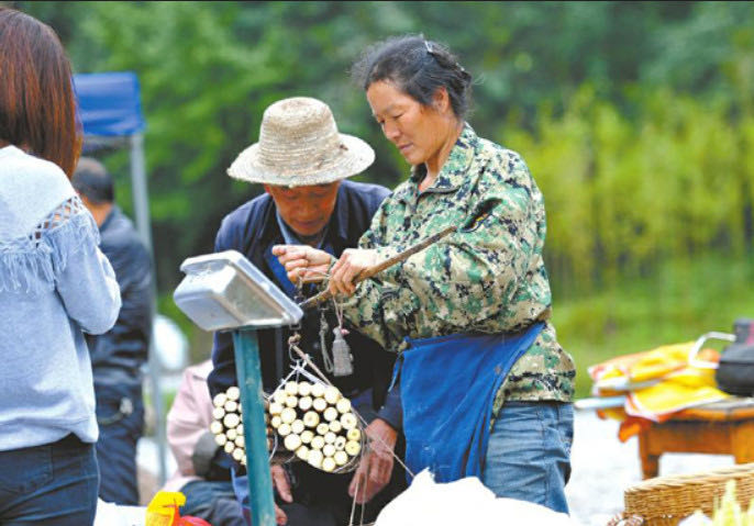 李家?guī)r水庫城鄉(xiāng)供水進(jìn)水閘開工大吉