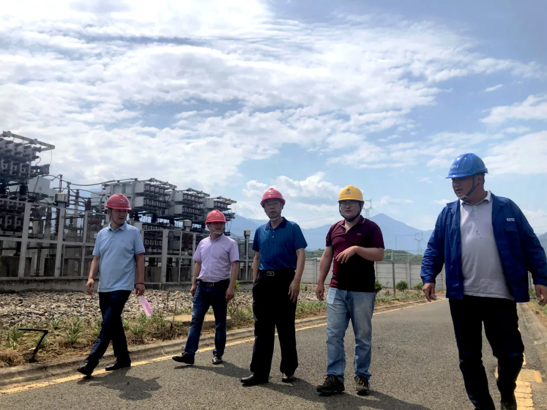 【成蜀動態(tài)】集團高級顧問蔣家貴赴馬店升壓站—橄欖變電站220kV線路工程檢查指導工作