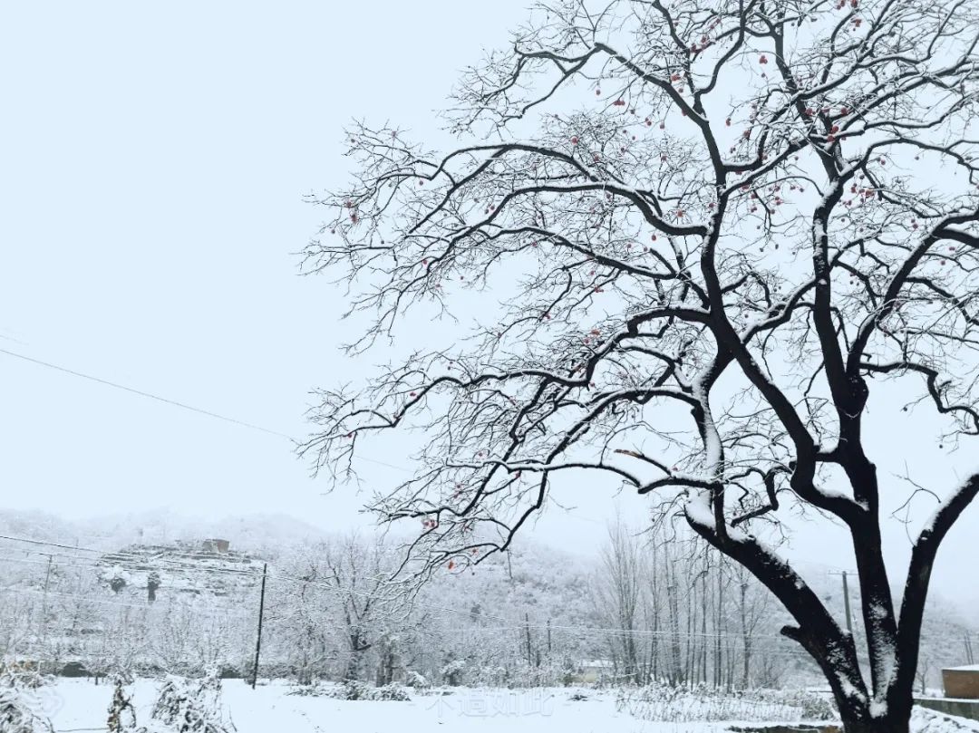 戰(zhàn)風(fēng)雪，斗嚴(yán)寒！成蜀電力冒雪奮進(jìn)促工期