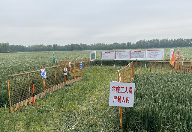 國瑞潔源平原風(fēng)電場項(xiàng)目正式開工建設(shè)
