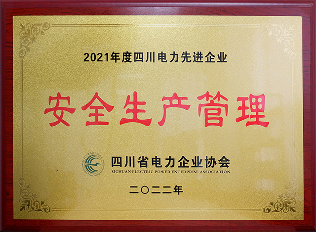 成蜀電力集團榮獲四川省電力企業(yè)協(xié)會兩項榮譽