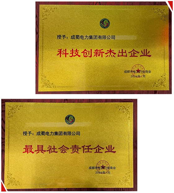 集團(tuán)榮獲成都市電力行業(yè)商會(huì)兩項(xiàng)榮譽(yù)