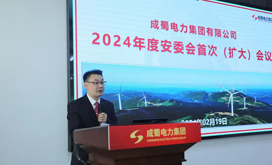 成蜀電力集團(tuán)召開2024年度安委會首次（擴(kuò)大）會議