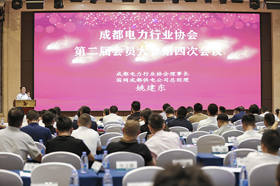 我司員工獲評成都電力行業(yè)協(xié)會先進個人