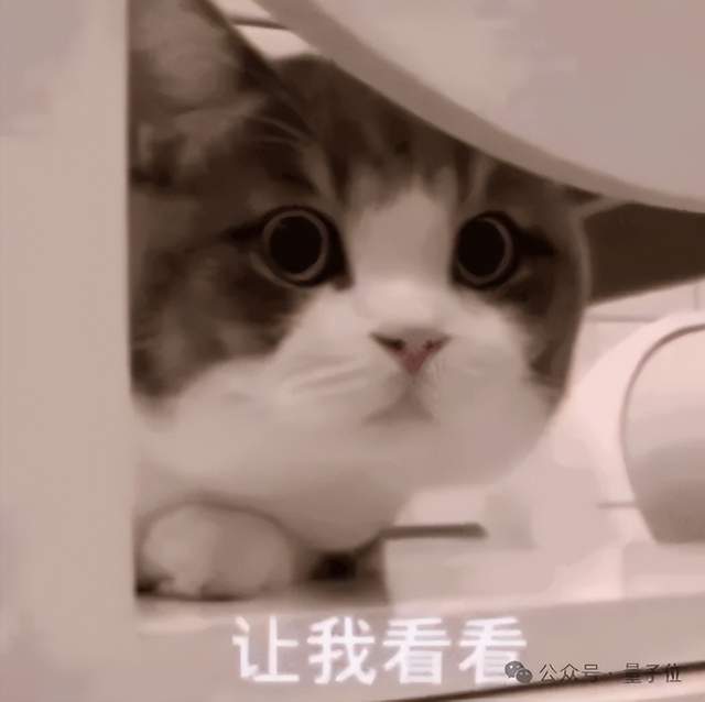 AI頂會(huì)ICLR，今年只有一家中國(guó)大模型公司受邀演講