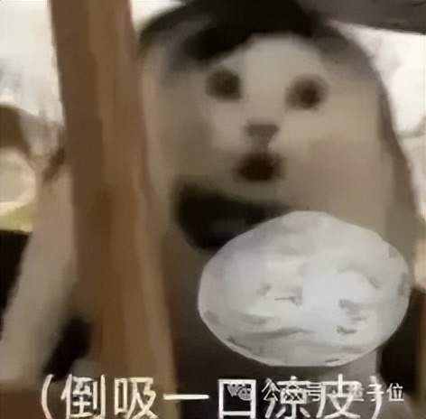 OpenAI高管震蕩內(nèi)幕：CEO無(wú)視安全倉(cāng)促上馬4o，員工每天干20小時(shí)趕進(jìn)度，追名逐利不再理想主義