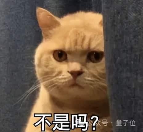 對話它石智航丁文超：2025最火具身智能，2個自動駕駛第一人帶隊，1.2億美元天使融資震動江湖