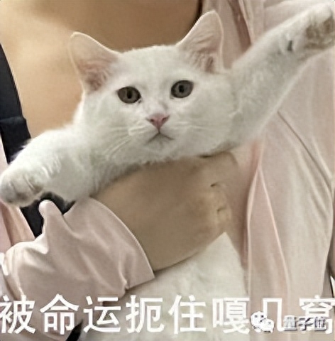 百度開大會，王小川伺機宣布新融資