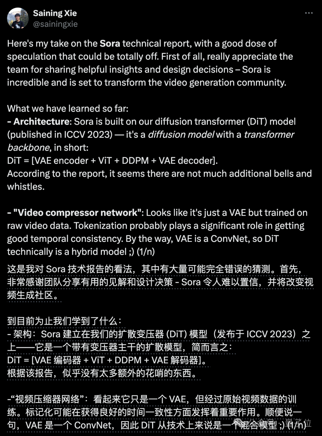謝賽寧緊急辟謠：Sora跟我一點(diǎn)關(guān)系沒有，他們996搞一年了
