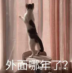 阿里云進軍大模型一年，現(xiàn)在是開源第一名，CTO：閉源要超過所有開源模型才有機會參與討論