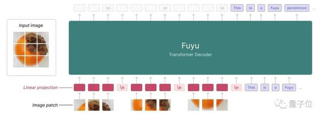 Transformer一作來卷多模態(tài)！學(xué)術(shù)圖表也能看懂，100毫秒極速響應(yīng)｜免費試玩