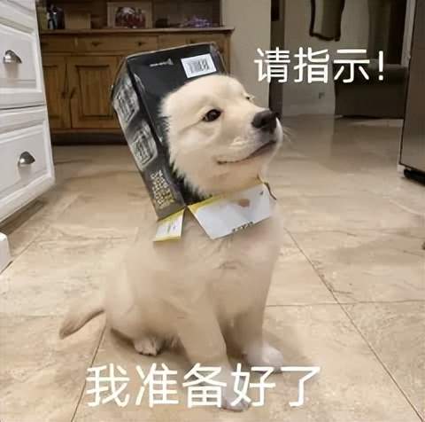AI搜索一夜變天，專為Agent做搜索的賽道能否誕生百億美金新巨頭？