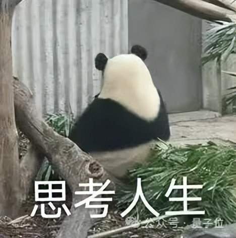 小扎自曝挖人秘訣：小團(tuán)隊(duì)我親自帶，豪擲數(shù)百億建GW集群，大家不圖天價(jià)薪酬只為“造神”