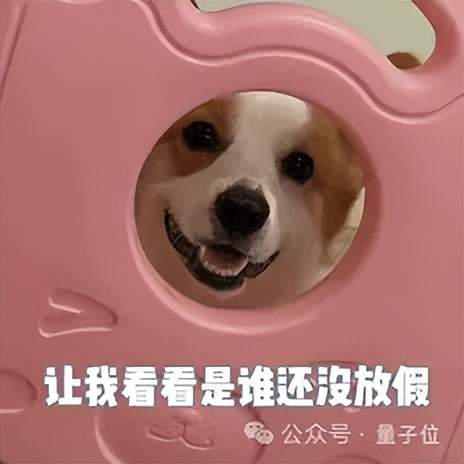DeepSeek新數(shù)學(xué)模型刷爆記錄！7B小模型自主發(fā)現(xiàn)671B模型不會(huì)的新技能