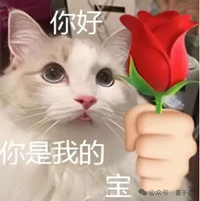 北大開源最強(qiáng)aiXcoder-7B代碼大模型！聚焦真實開發(fā)場景，專為企業(yè)私有部署設(shè)計