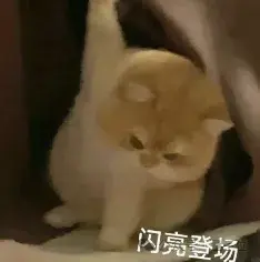 哪里不會(huì)掃哪里！全球最強(qiáng)數(shù)學(xué)大模型發(fā)布人人可玩Demo，阿里多模態(tài)模型加持，中文適用