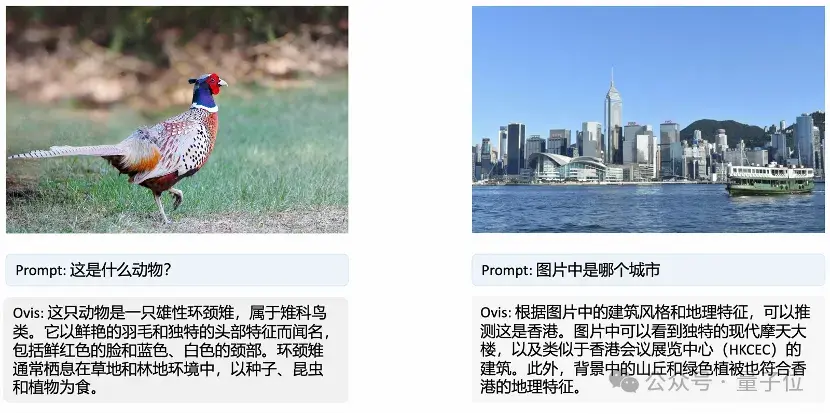 新SOTA來了：國產(chǎn)9B模型多項得分超4o-mini，中國出海電商已經(jīng)用上了