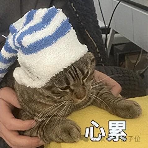 設(shè)計(jì)師+AI，3個(gè)月就能完成一套千字中文字庫@智琮科技
