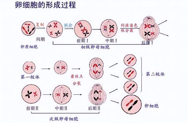 29歲男博導(dǎo)死磕女性健康斬百萬大獎！渾身打滿反差標(biāo)簽