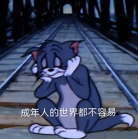 29歲男博導(dǎo)死磕女性健康斬百萬大獎！渾身打滿反差標(biāo)簽
