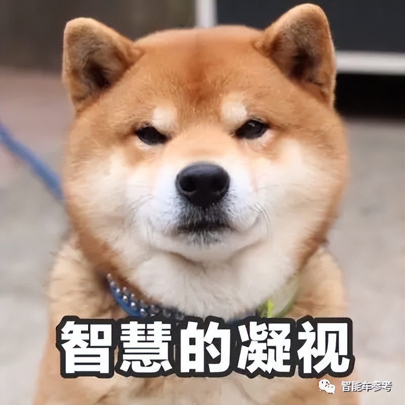 12.39萬(wàn)起！新哈弗大狗開(kāi)售，智能加持，可城區(qū)可越野
