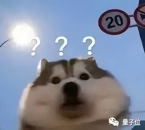 鵝廠機(jī)器狗搶起真狗「飯碗」！會(huì)撒歡兒做游戲，遛人也賊6