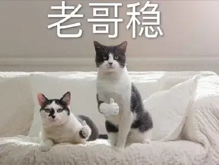 一口氣升級7個大模型SaaS應(yīng)用，百度智能云：突出一個“開箱即用”