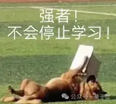 陶哲軒提前實(shí)測(cè)滿血版o1:能當(dāng)研究生使喚