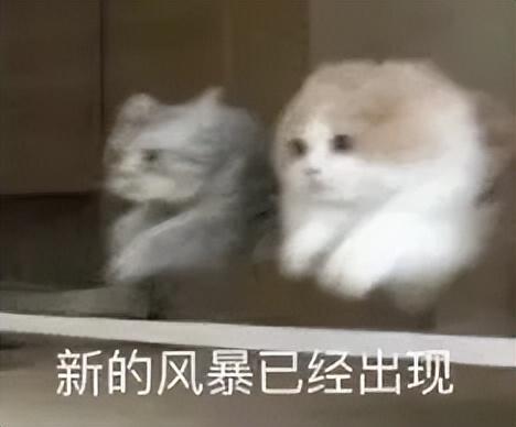 再融近5億！清華系A(chǔ)I創(chuàng)業(yè)新勢力，成最吸金“算力運營商”