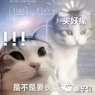 華人攻破上世紀(jì)數(shù)學(xué)難題：求一張白紙上的所有線條上共有多少灰塵｜普林斯頓&紐大