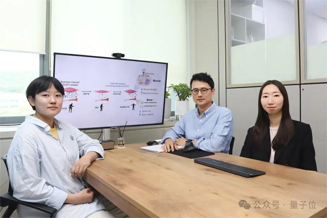 老年人12周才有效，年輕人一次就夠：科學(xué)家揭示丟失的運(yùn)動(dòng)激素