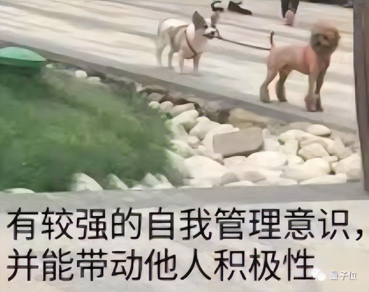 GPT-4頂替老板&程序員，這個GitHub項目火上熱搜第一，作者：要讓AI學會自己迭代自己