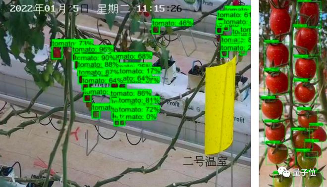 挑戰(zhàn)馬斯克“農(nóng)民”弟弟！上海交大工科博導(dǎo)帶隊種菜，三個月從入門到產(chǎn)量翻番