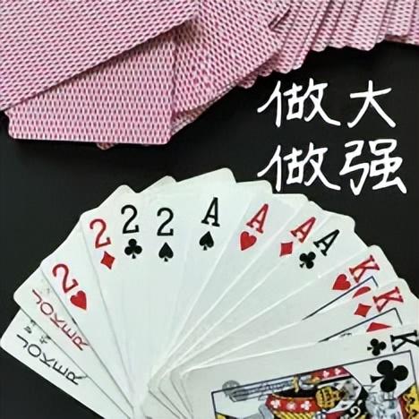 蘇媽擲48億現(xiàn)金吞下AI模型公司，英偉達(dá)有的AMD也要有