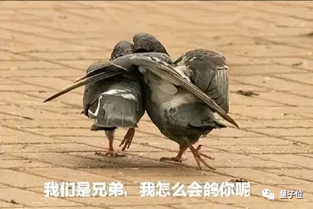 老黃贏麻了！英偉達(dá)H100訂單排到24年，馬斯克都坐不住了