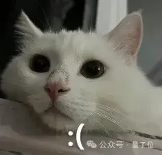 AI斗圖神器：普通視頻秒變meme，手繪動(dòng)畫輕松融入，了解一下？