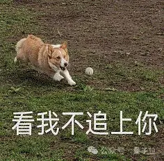 阿里云進軍大模型一年，現(xiàn)在是開源第一名，CTO：閉源要超過所有開源模型才有機會參與討論