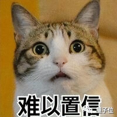 孫正義投的獨(dú)角獸爆雷！2千萬用戶95%是機(jī)器人，估值高達(dá)80億