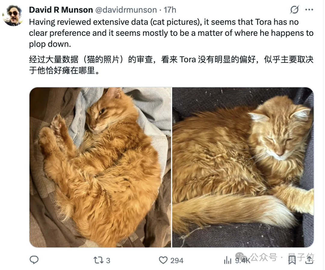 貓貓睡覺睡上頂刊:三分之二的家貓都傾向于向左睡