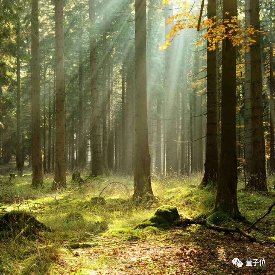 「大一統(tǒng)」大模型論文爆火，4種模態(tài)任意輸入輸出，華人本科生5篇頂會一作，網(wǎng)友：近期最不可思議的論文